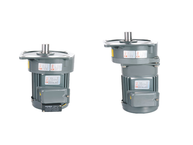 小型交流齒輪減速電機